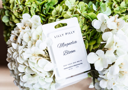 Magnolia Bloom